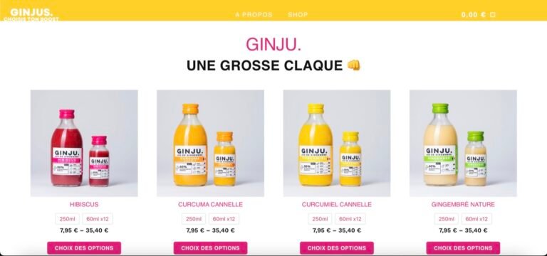 Aperçu du projet Ginjus